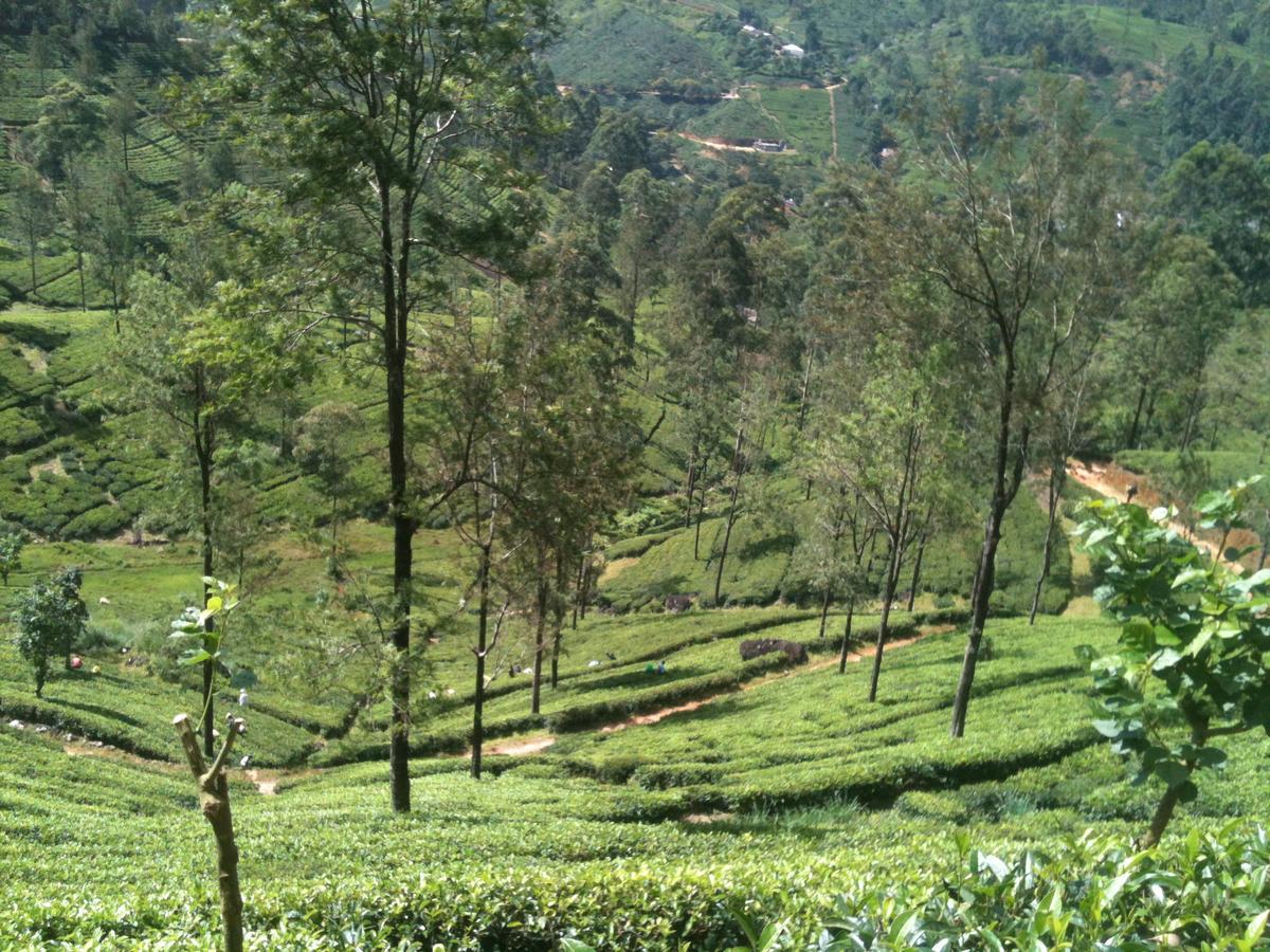 Subash Hotel Nallathanniya Esterno foto